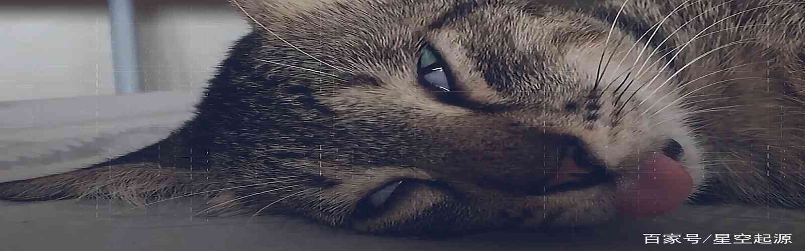 缅甸小勐拉99厅